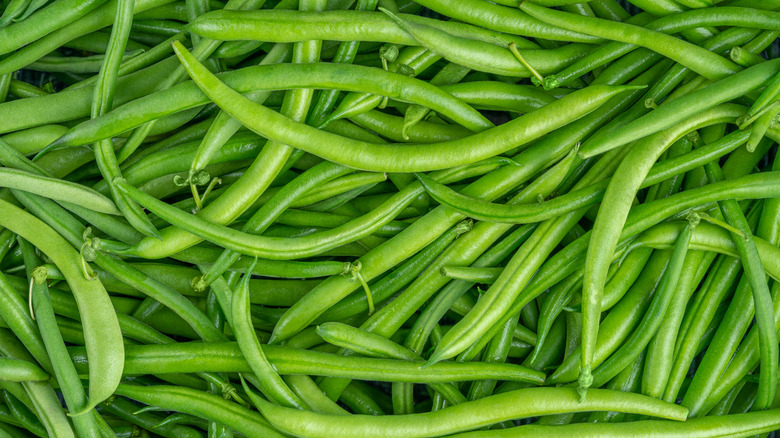 Fresh green beans