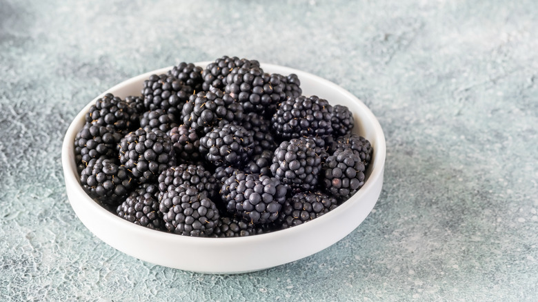 Fresh blackberries in a white bowl