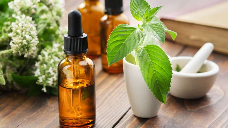 eyedropper on table with plant