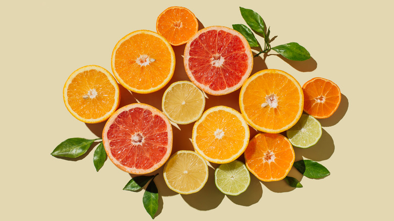 Arrangement of citrus fruit slices and leaves