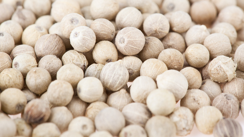 closeup white peppercorns whole