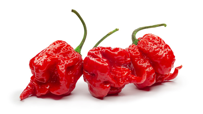 Carolina Reaper peppers