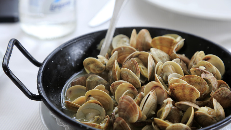 Clams in juice in a pan