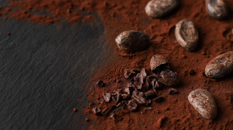 Dark cocoa powder with beans