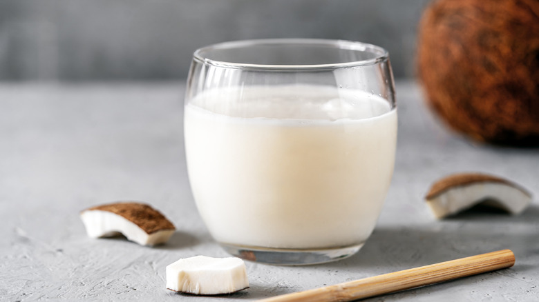 Glass of coconut milk surrounded by coocnut pieces on grey background