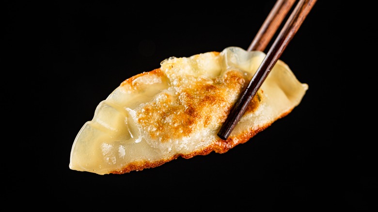 Gyoza with chopsticks