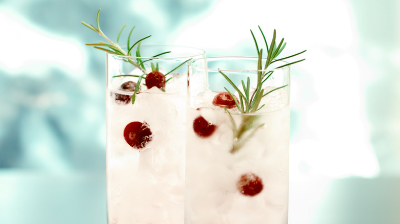 Gin cocktails with cranberries