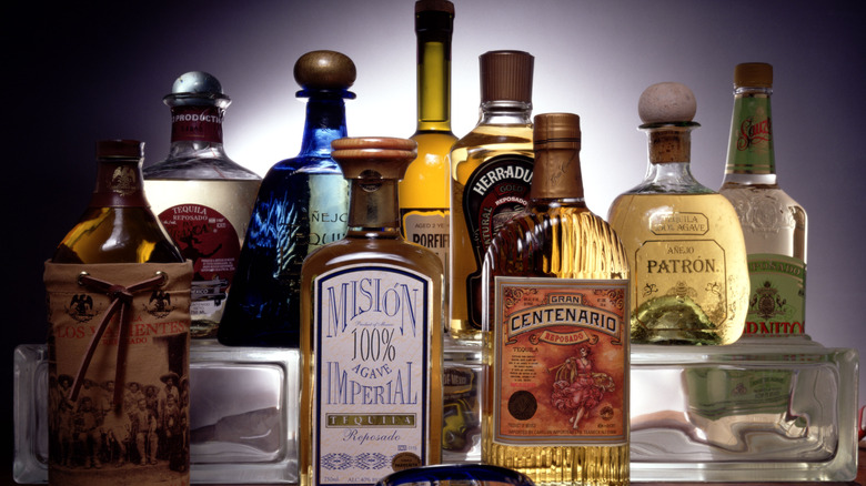 assortment of tequilas