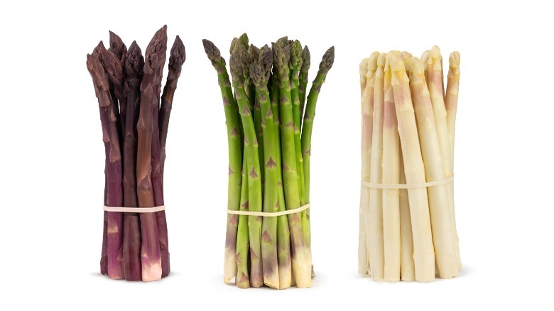 Various types of asparagus