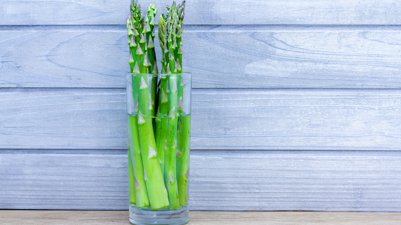 Asparagus in glass of water