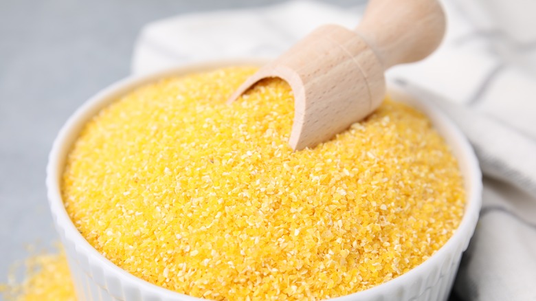 Cornmeal in bowl with spoon