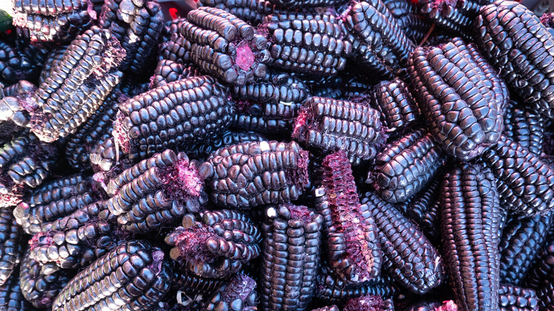 Purple corn in bin