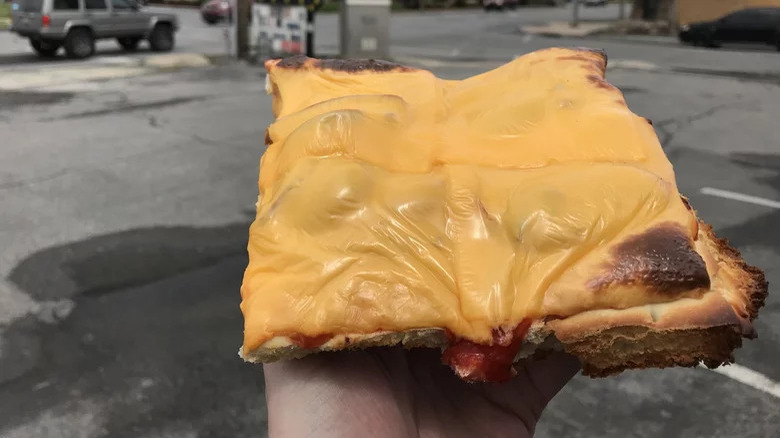Pizza covered in cheese