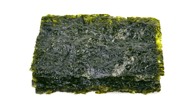 Nori seaweed against white