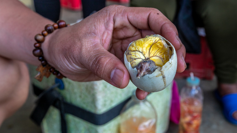 balut fertilized duck egg