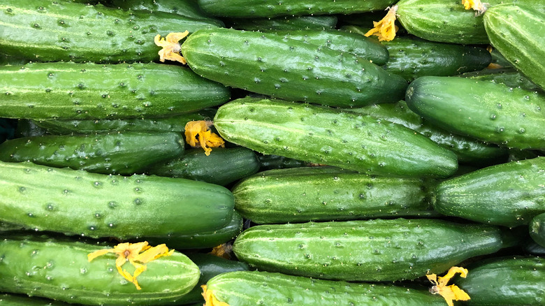 Cucumbers with blossoms