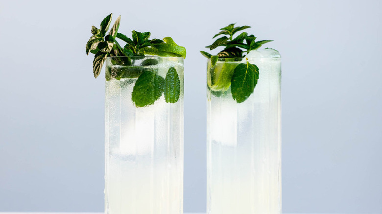 Mojitos in glasses with mint