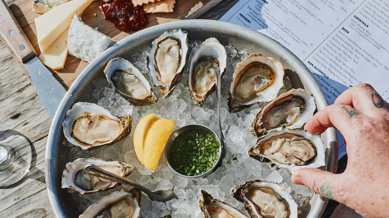 Hog Island oysters on table