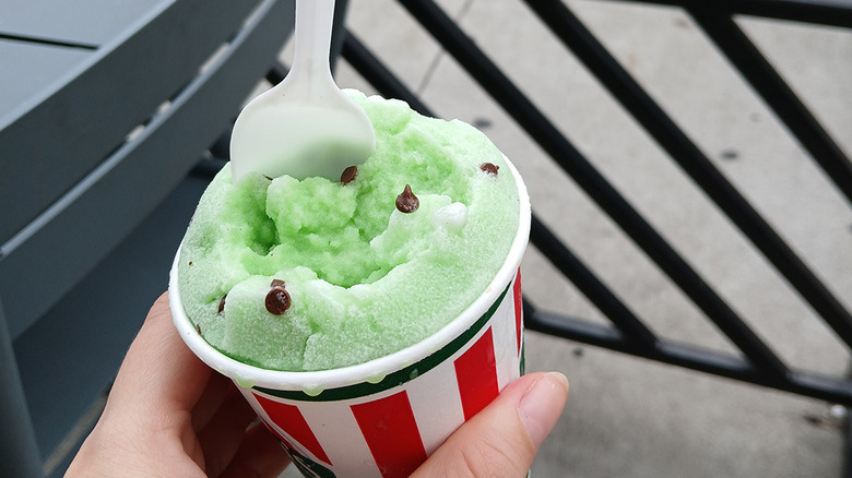 Mint chocolate Italian ice