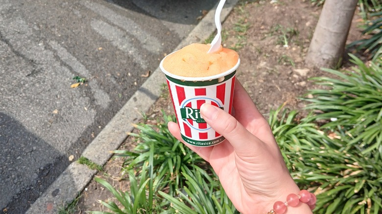 Rita's Island Fusion ice