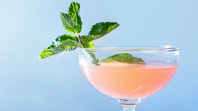 Kite tail cider cocktail with rhubarb simple syrup