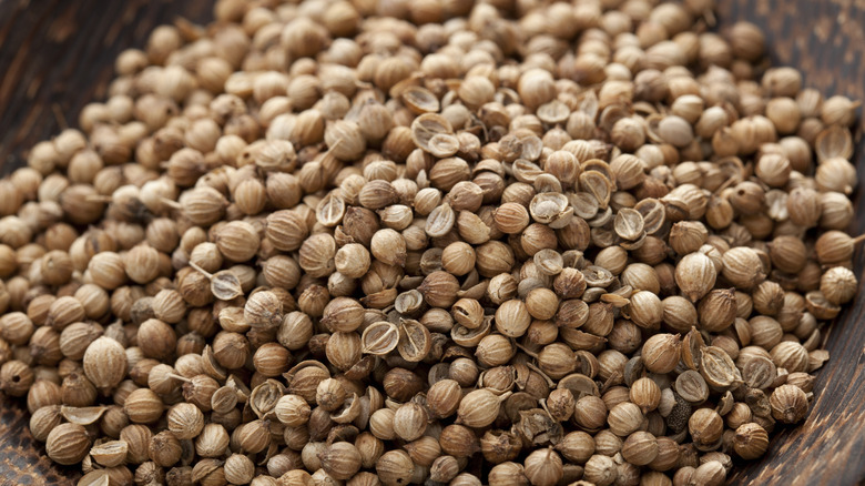 Coriander seed in wooden bowl