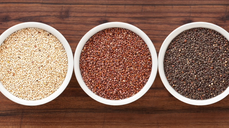 Tri colored quinoa seeds