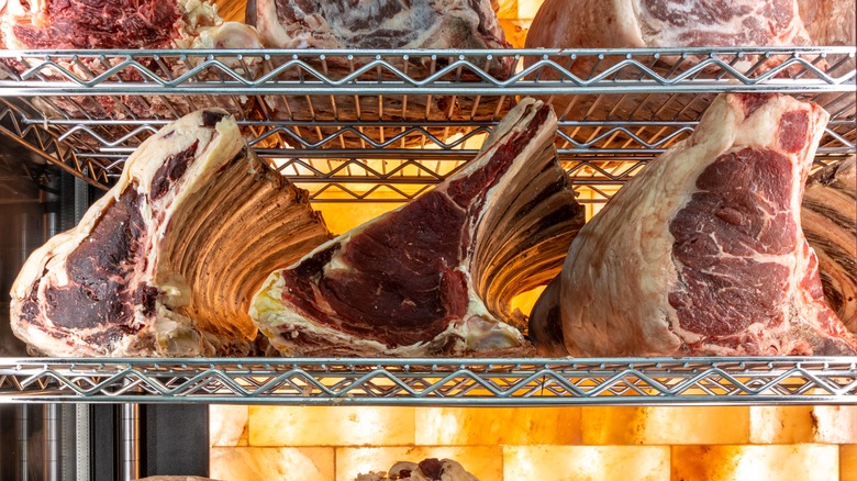 meat dry aging in special cabinet