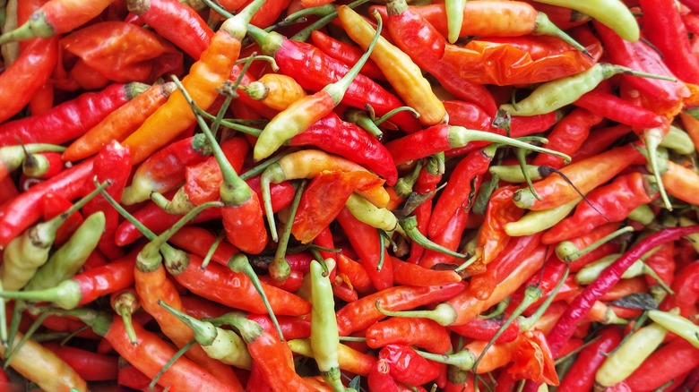 Pile of fresh red and green peppers