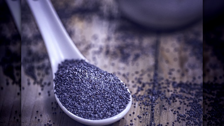 Spoon full of poppy seeds