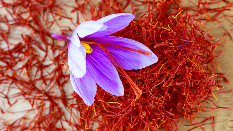 Saffron flower and threads  