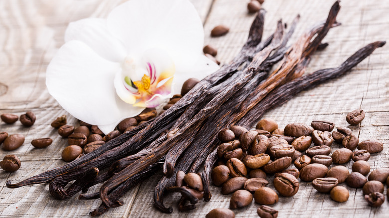 Vanilla flower pods coffee beans