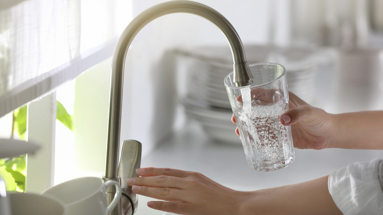 Woman filling a glass of tap water