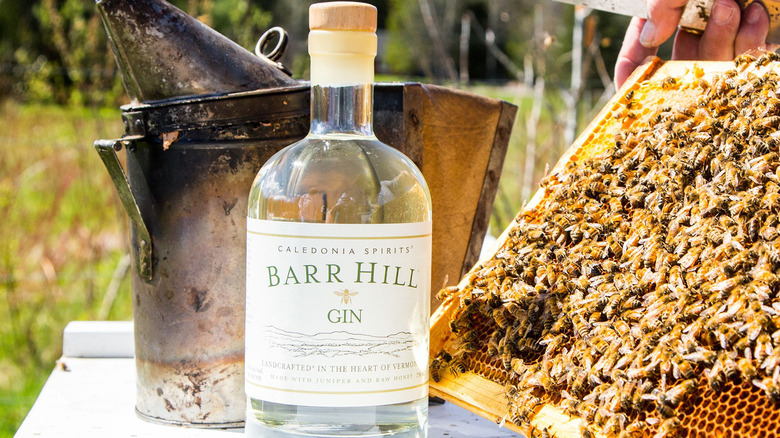 Bottle of Bar Hill Gin