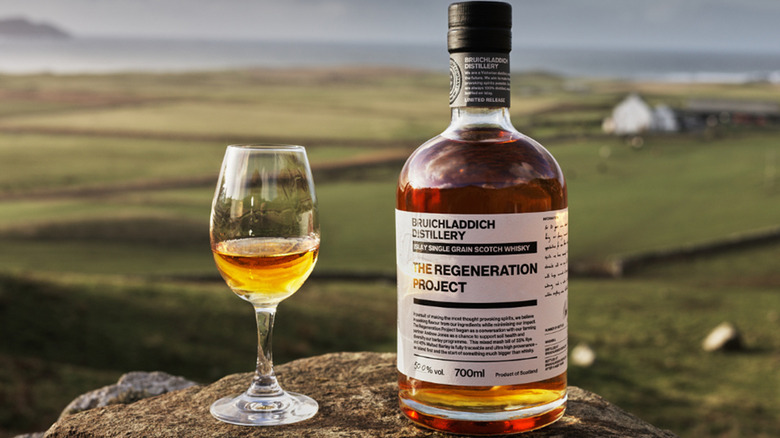 Bottle and glass of Bruichladdich scotch