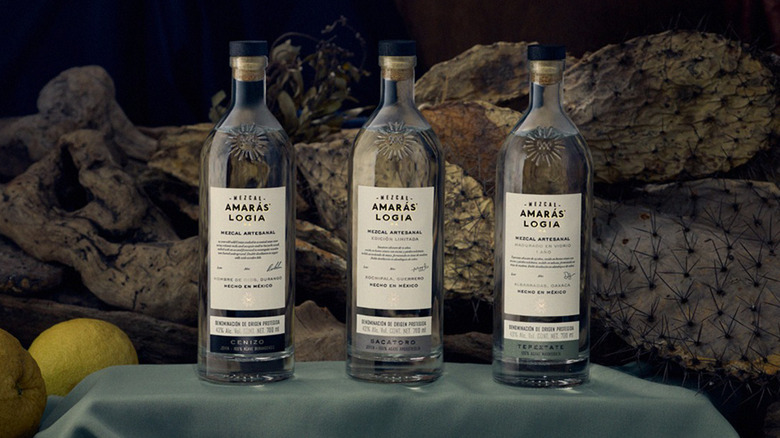 Three bottles by Mezcal Amaras