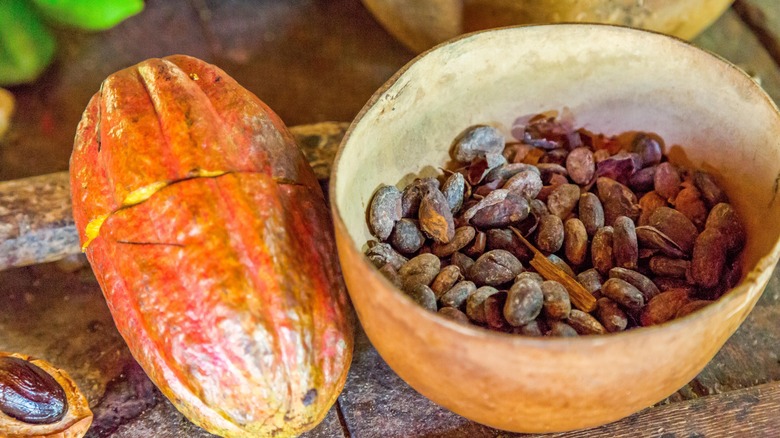 Caribbean cocoa beans