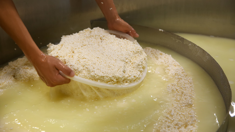 Straining out cheese curds