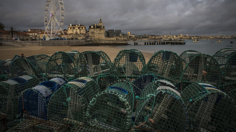 octopus traps sitting on shore