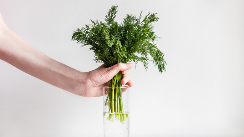 Hand placing herbs in glass