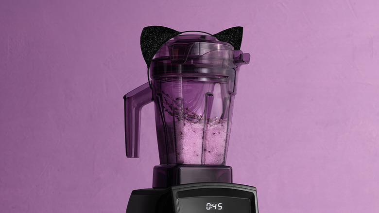 vitamix dry container costume ears