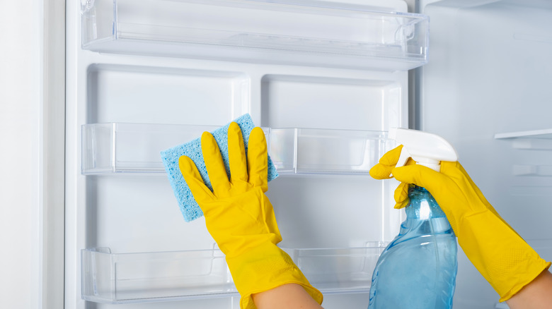 person cleaning fridge with sponge