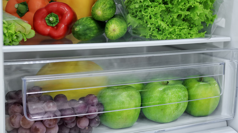 refrigerator internior with produce