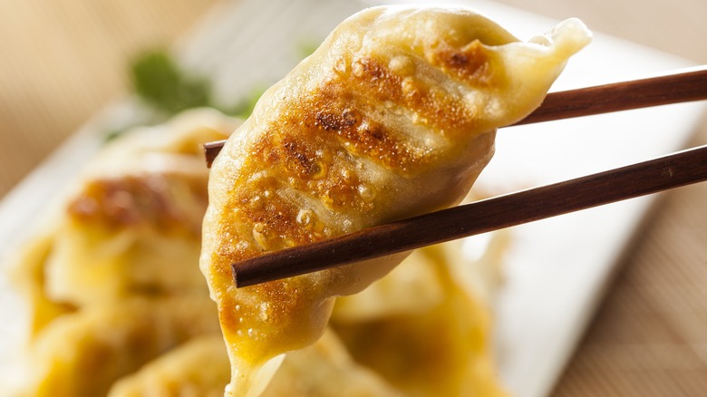 Chopsticks holding a pan-fried dumpling