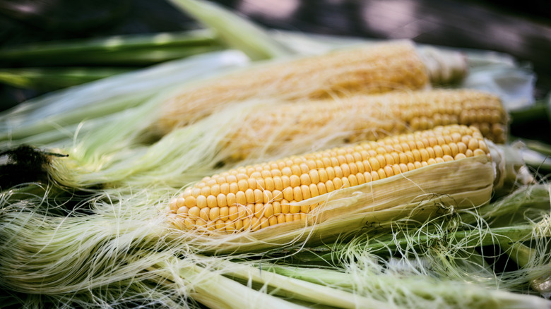 Fresh corn ears