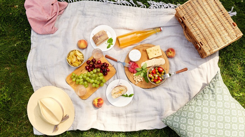 Picnic blanket with spread