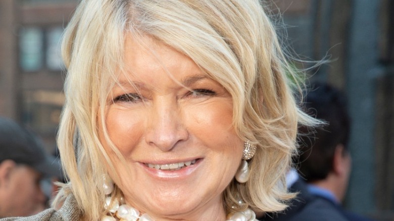 Martha Stewart close-up