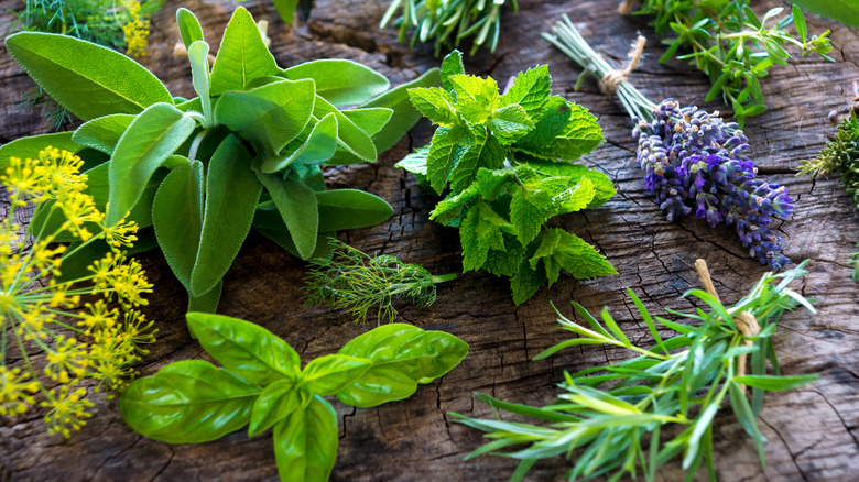 Fresh herbs on wooden background