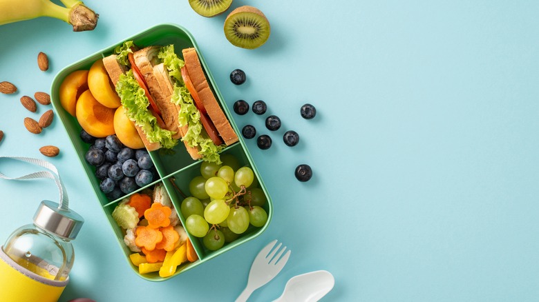 Packed lunch box blue background