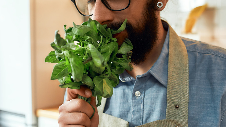 young chef smelling fresh herbs